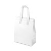Sacola térmica em PP/TNT 5L personalizada