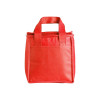 Bolsa térmica tnt 7L personalizada