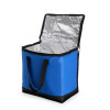 Bolsa térmica oxford 27L personalizada