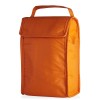 Bolsa térmica dobrável 3L personalizada Bolsa térmica dobrável 3L personalizada