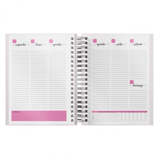 Planner Anual Promocional Planner Anual Promocional